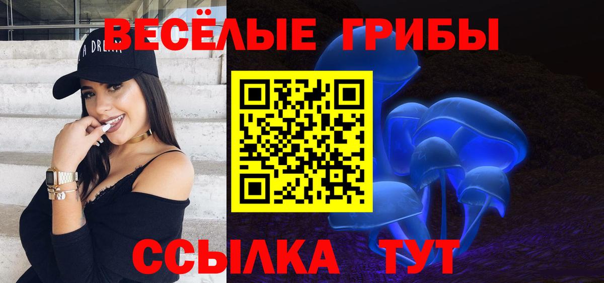 Псилоцибиновые грибы мухоморы Славянск-на-Кубани